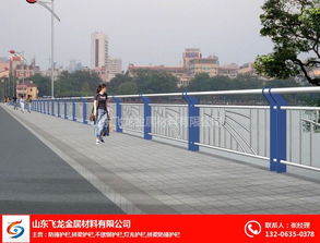 聊城飛龍橋梁護(hù)欄公司 鑄就道路安全屏障，匠心打造交通安全設(shè)施工程